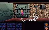 Maniac Mansion Deluxe 3